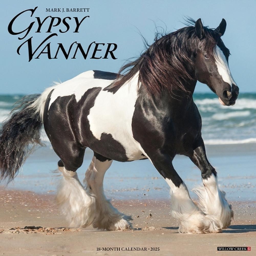 Gypsy Vanner Horse 2026 Wall Calendar, 9781549251429
