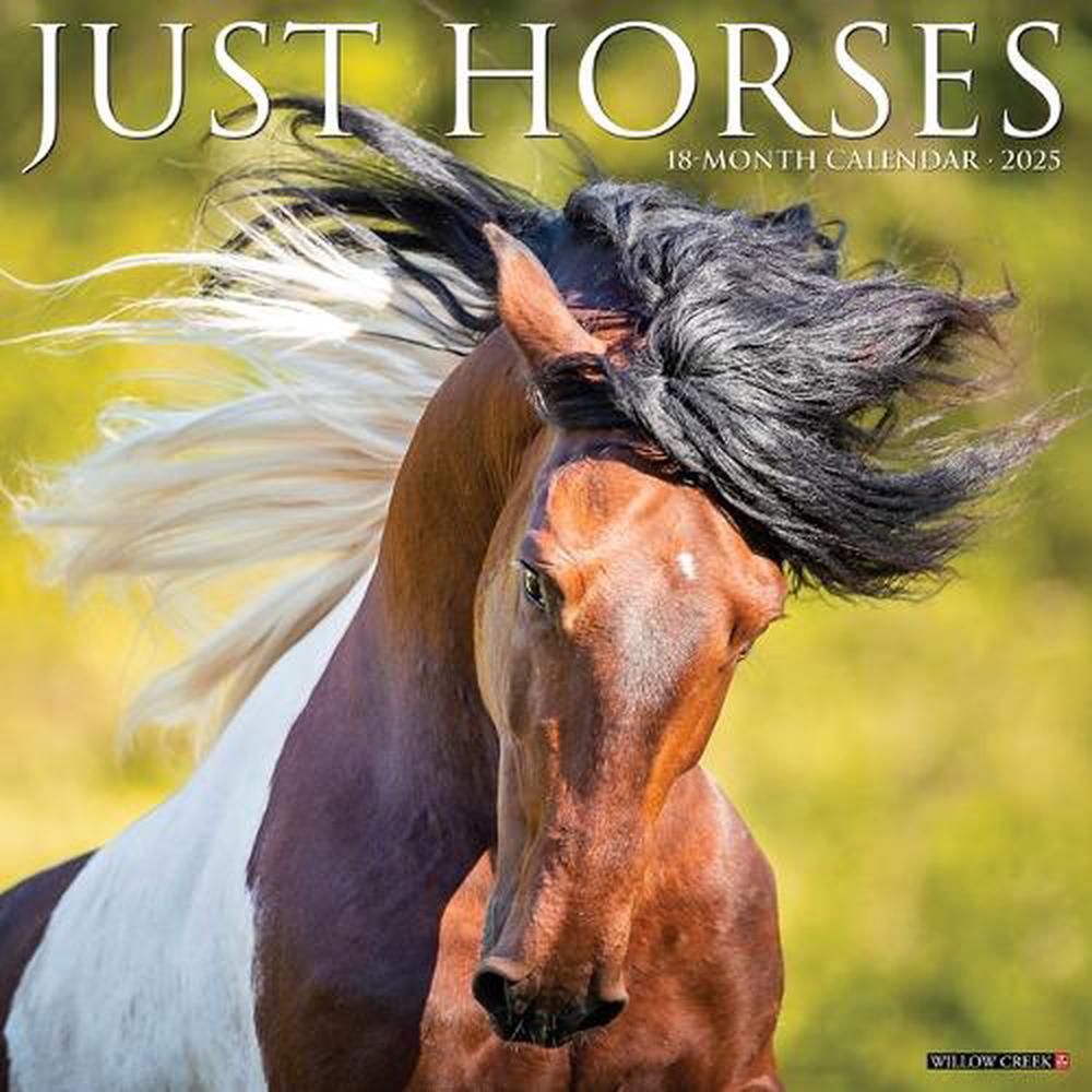 Horses 2026 Wall Calendar, 9781549251504