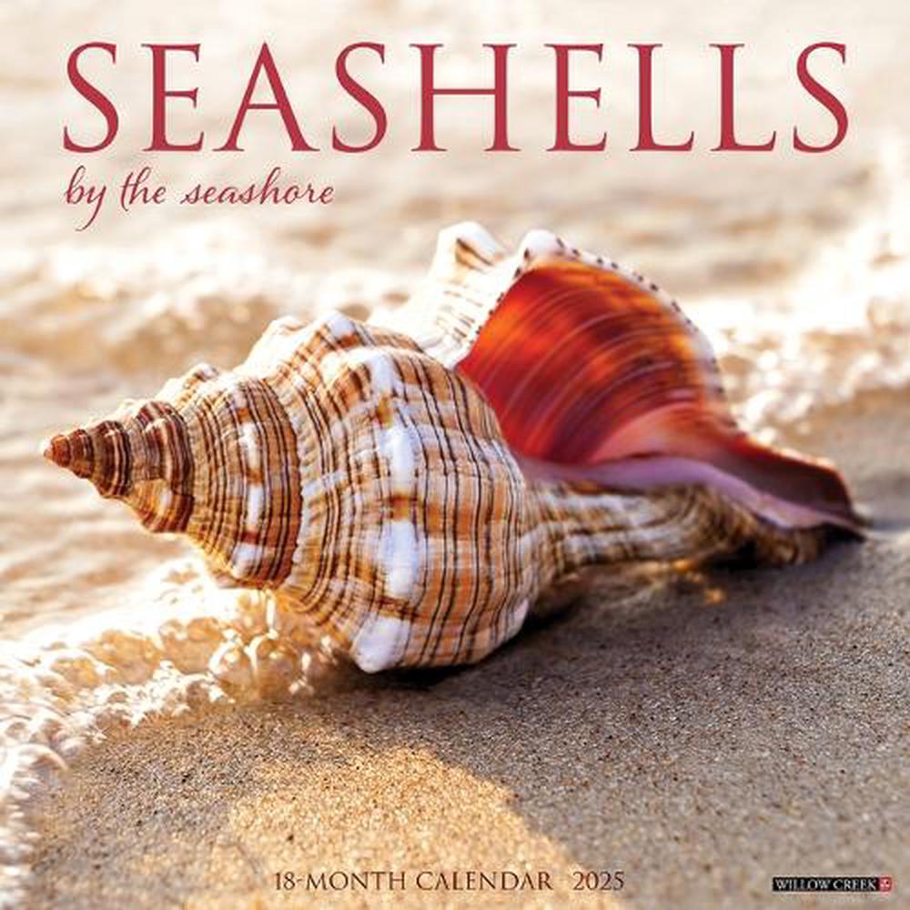 Seashells 2026 12 X 12 Wall Calendar, 9781549252709