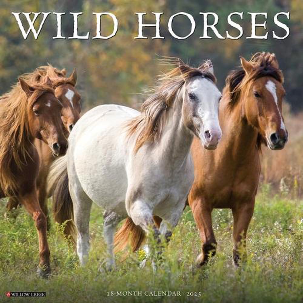 Wild Horses 2026 Wall Calendar, 9781549253287