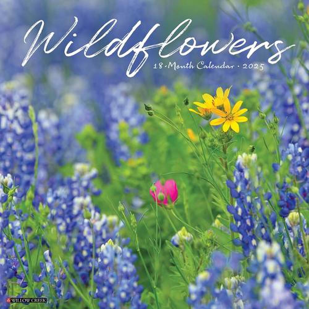 Wildflowers 2026 12 X 12 Wall Calendar, 9781549253294