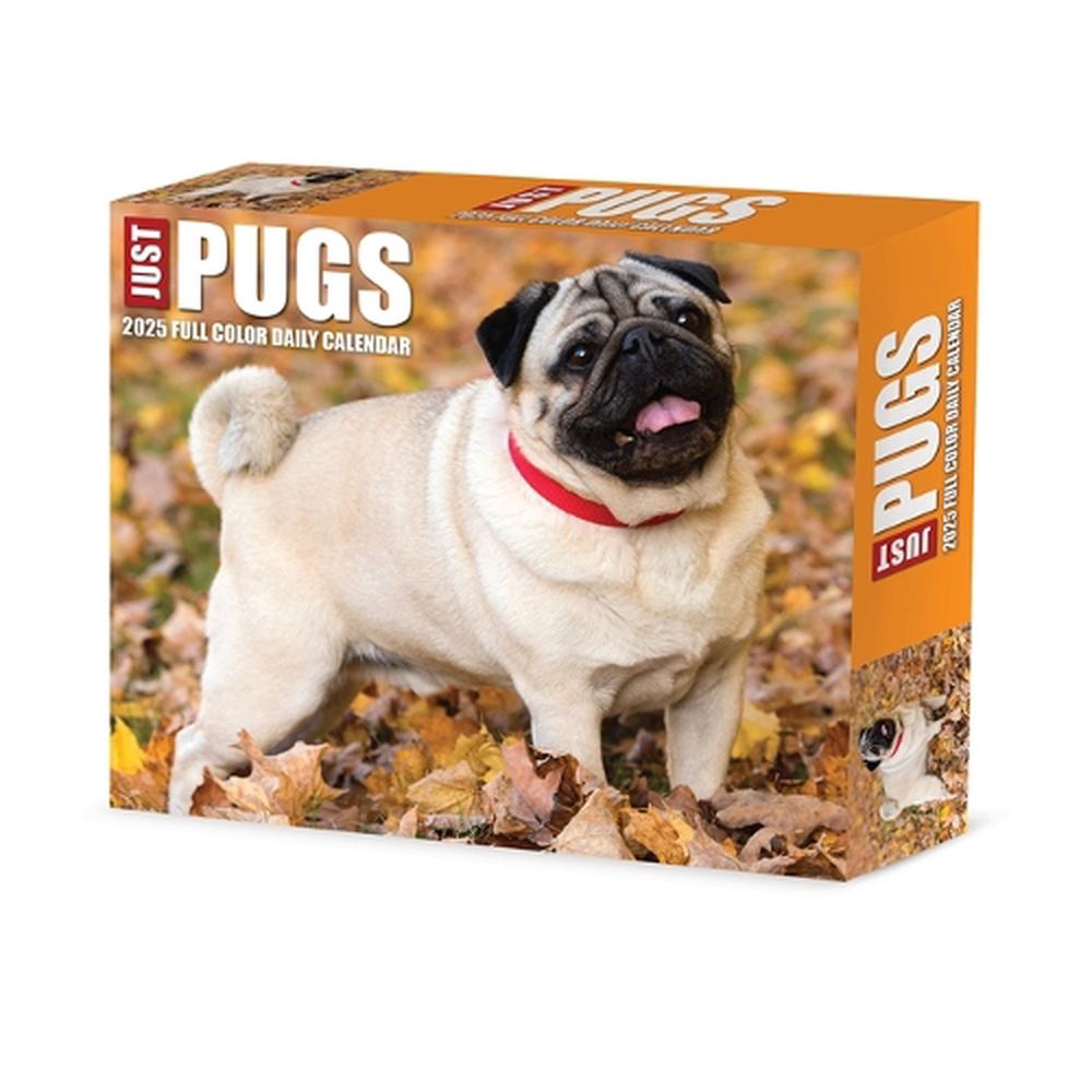 Just Pugs 2026 5.4 X 6.2 Box Calendar, 9781549254376