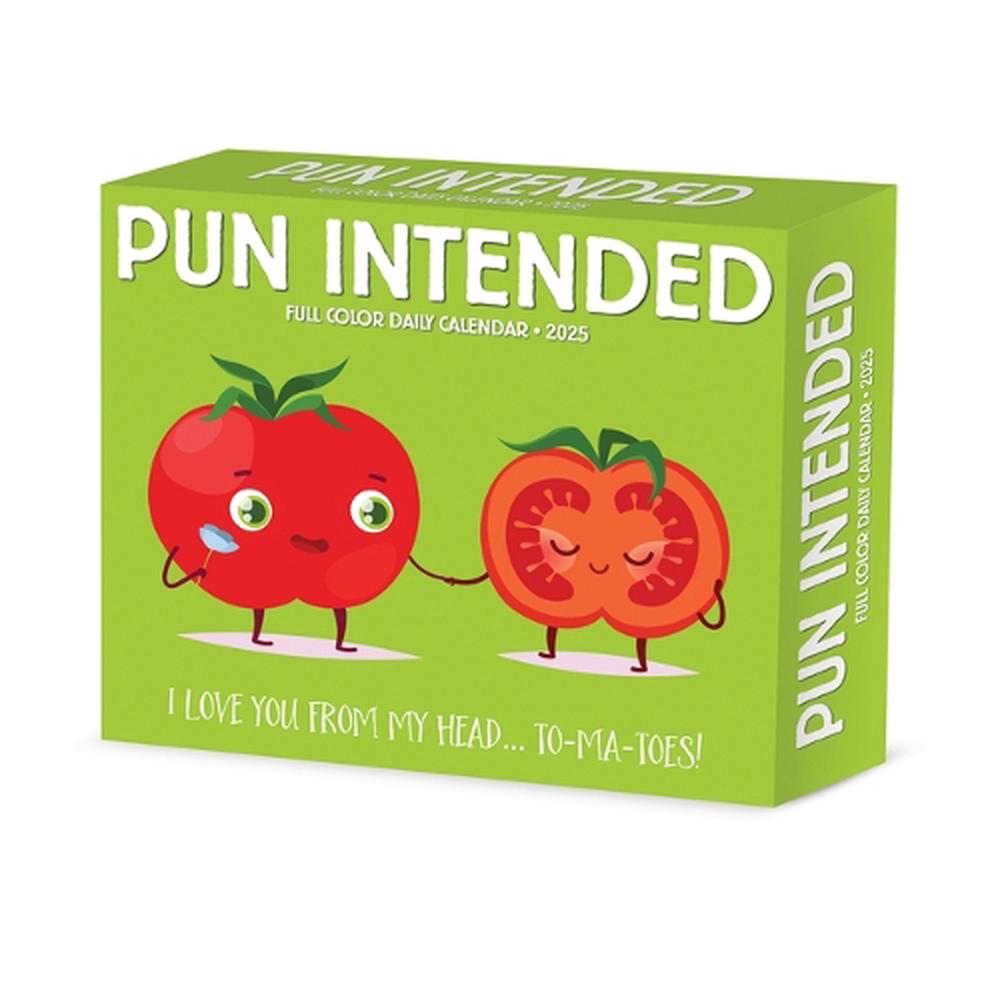 Pun Intended 2026 Box Calendar, 9781549254383