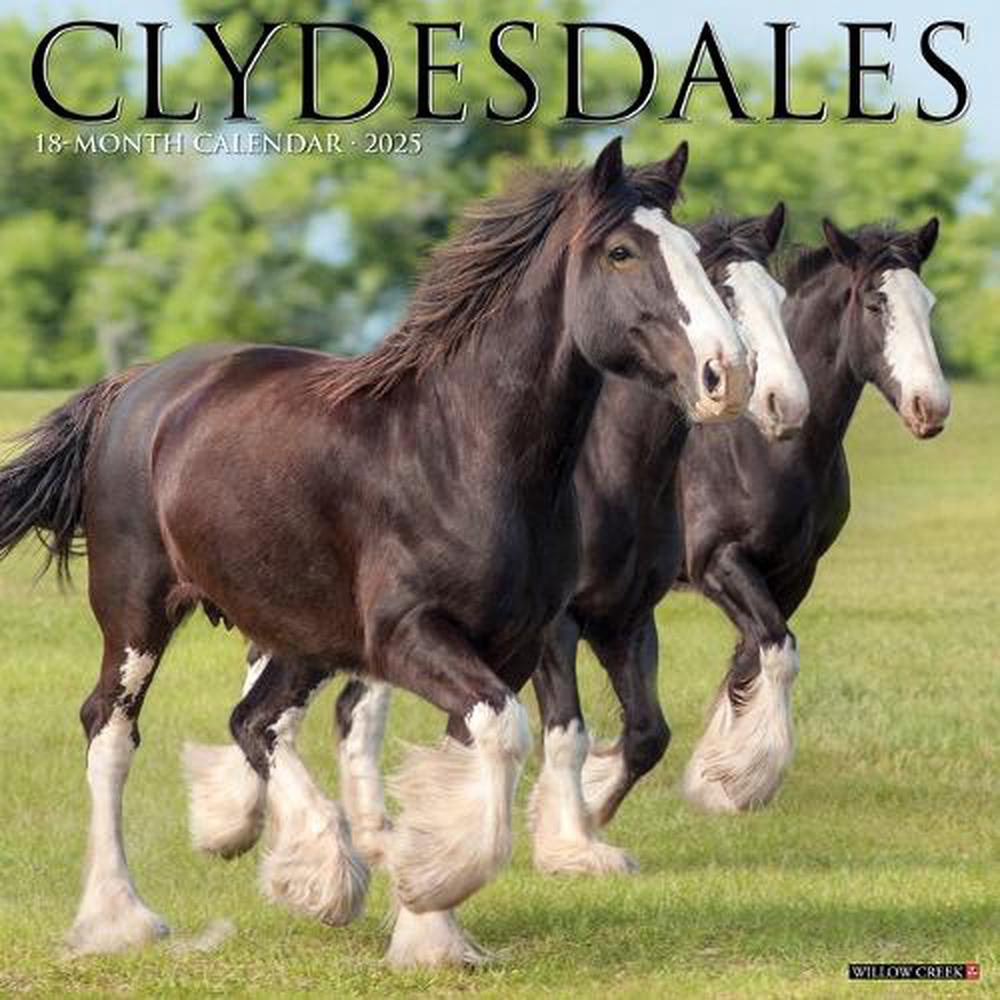 Clydesdales 2026 Wall Calendar, 9781549255373