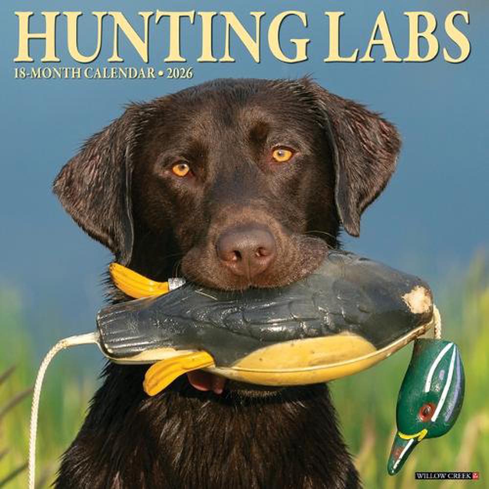 Hunting Labs 2026 12 X 12 Wall Calendar, 9781549255458