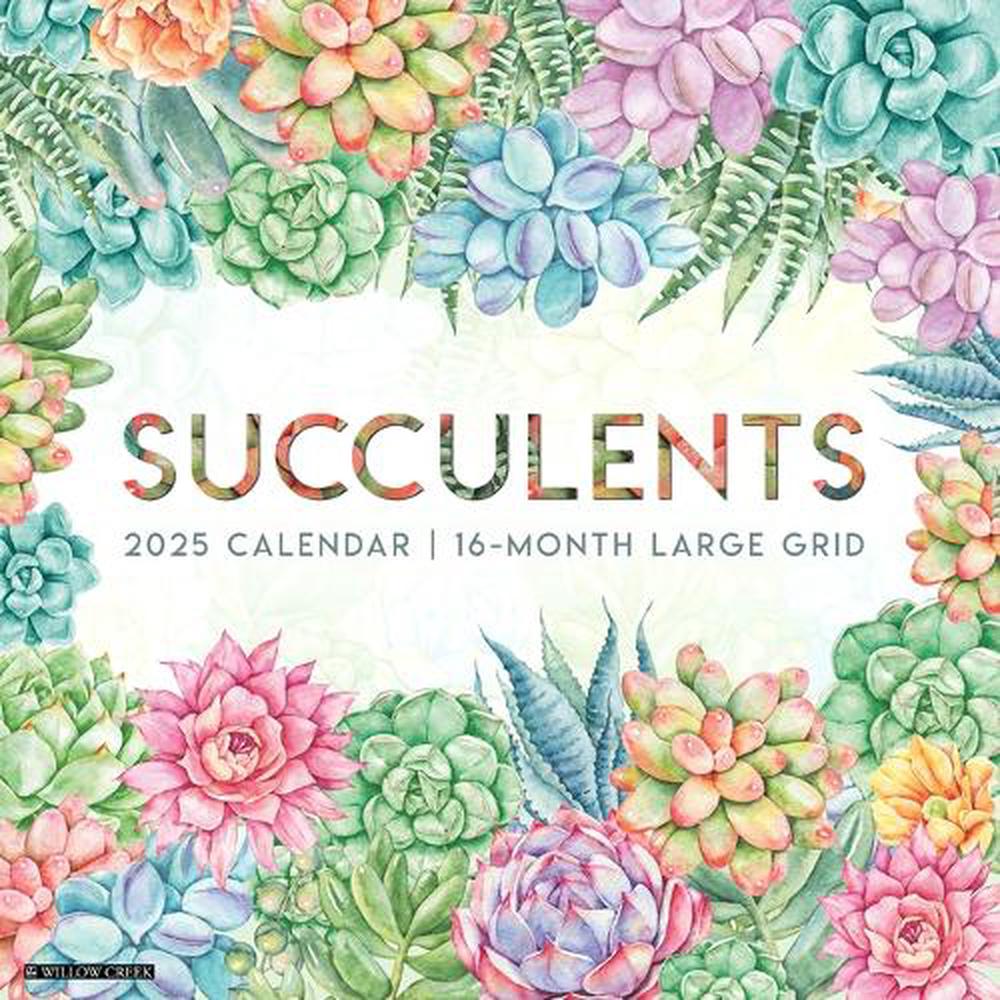 Succulents--Large Grid 2026 12 X 12 Wall Calendar, 9781549255564