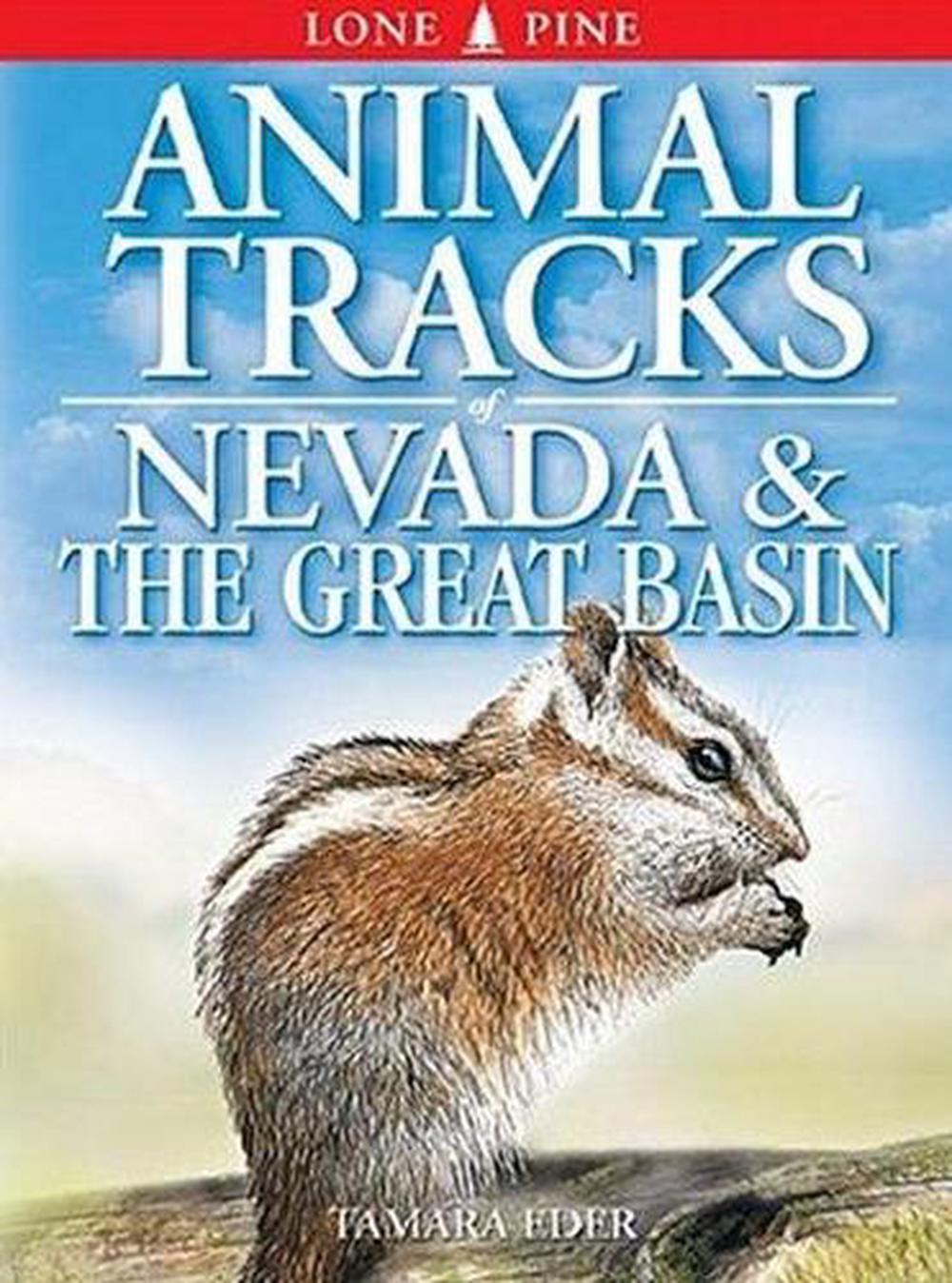 Animal Tracks of Nevada and the Great Basin by Tamara Eder, Paperback ...