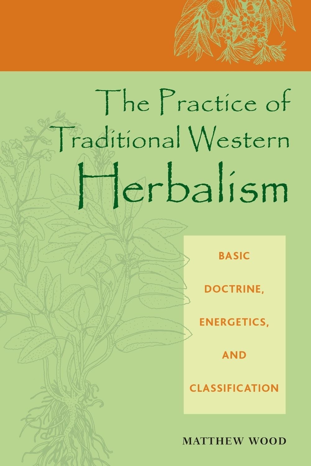 The Practice of Traditional Western Herbalism by Matthew Wood - ISBN: 9781556435034