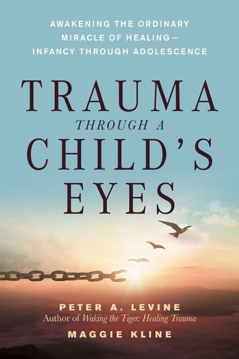 Trauma Through a Child's Eyes by Maggie Kline - ISBN: 9781556436307