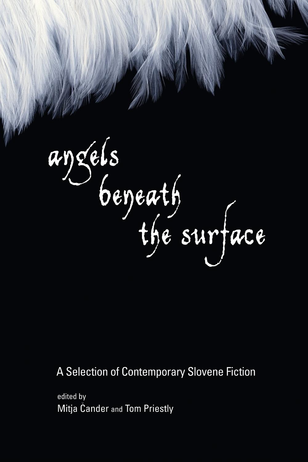 Angels Beneath the Surface by Mitja Cander - ISBN: 9781556437038