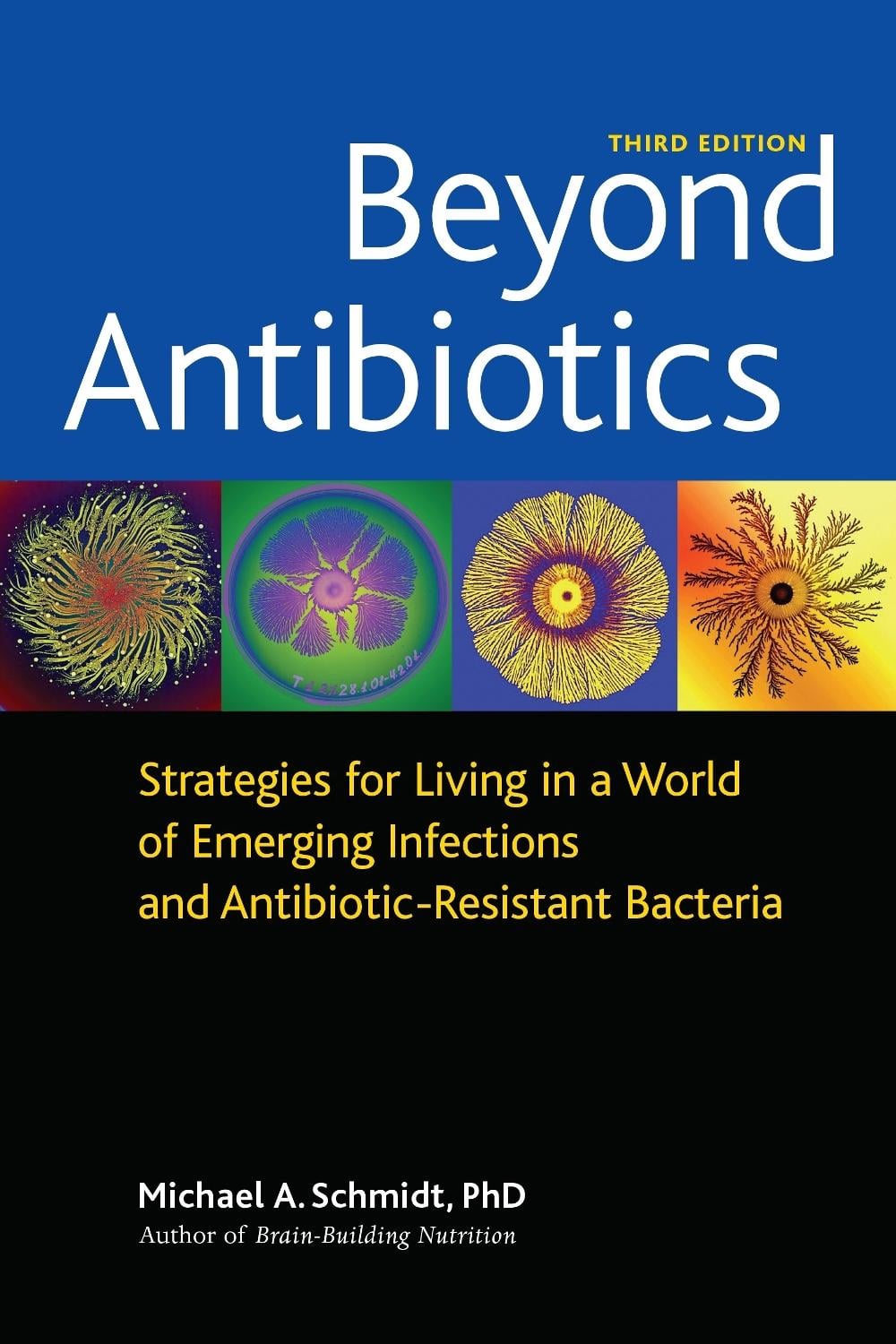 Beyond Antibiotics by Michael A. Schmidt - ISBN: 9781556437779