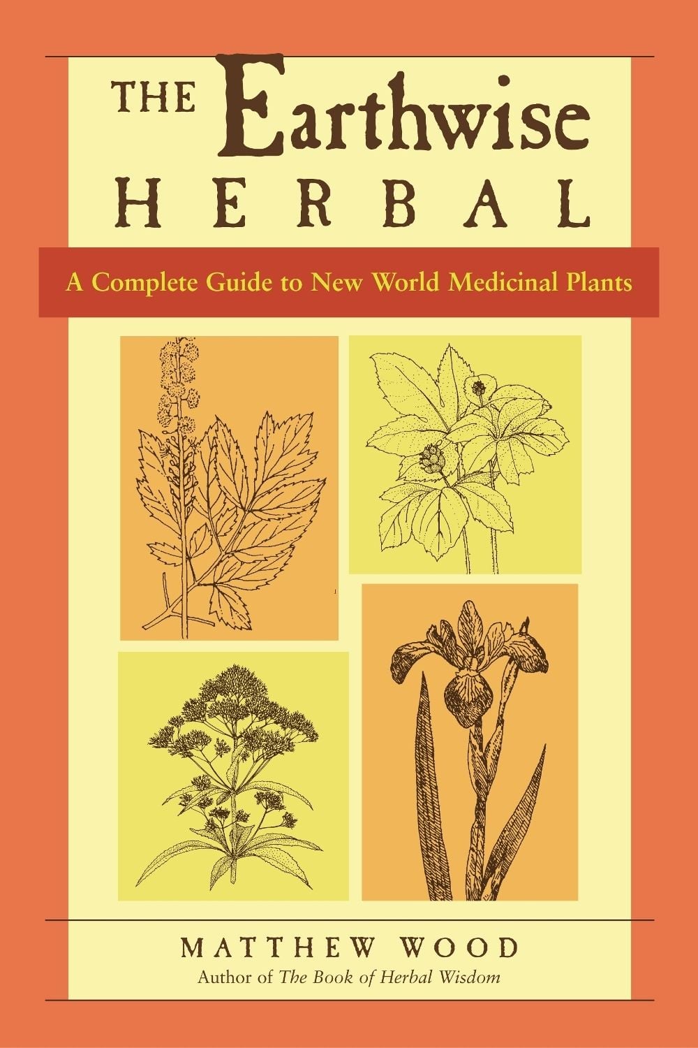 The Earthwise Herbal, Volume II by Matthew Wood - ISBN: 9781556437793