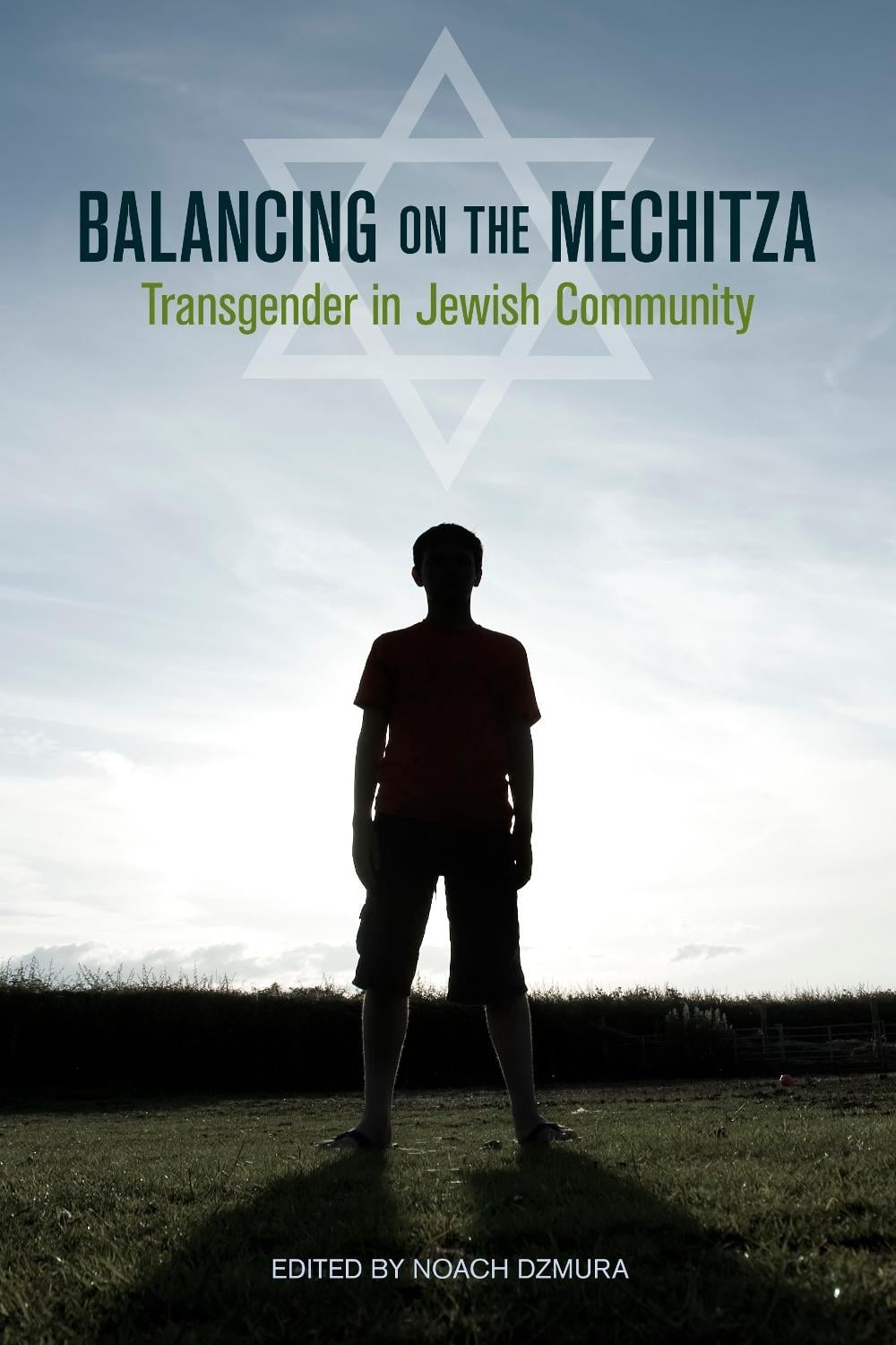 Balancing on the Mechitza by Noach Dzmura - ISBN: 9781556438134
