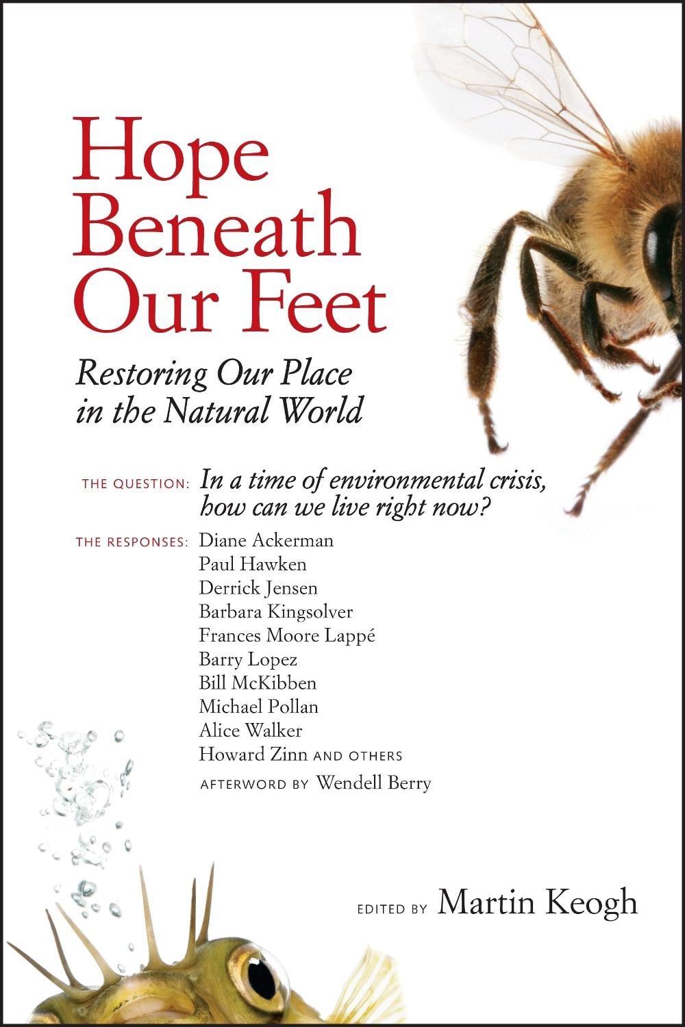 Hope Beneath Our Feet by Martin Keogh - ISBN: 9781556439193