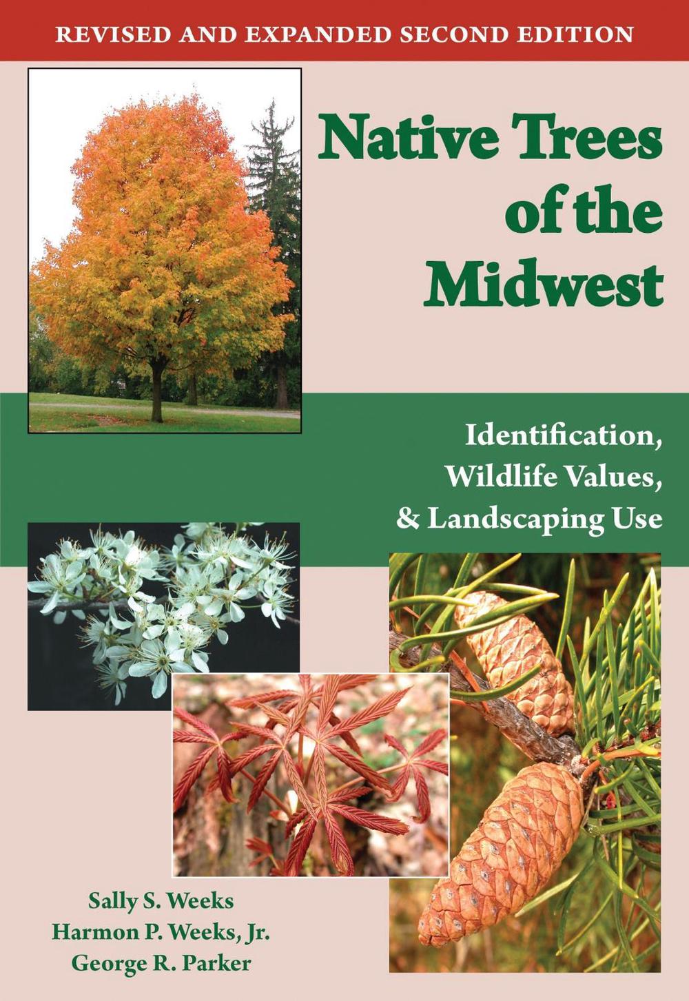 Science Club Tree Native Trees of the Midwest by Sally S. Weeks, Paperback, 9781557535726 ...