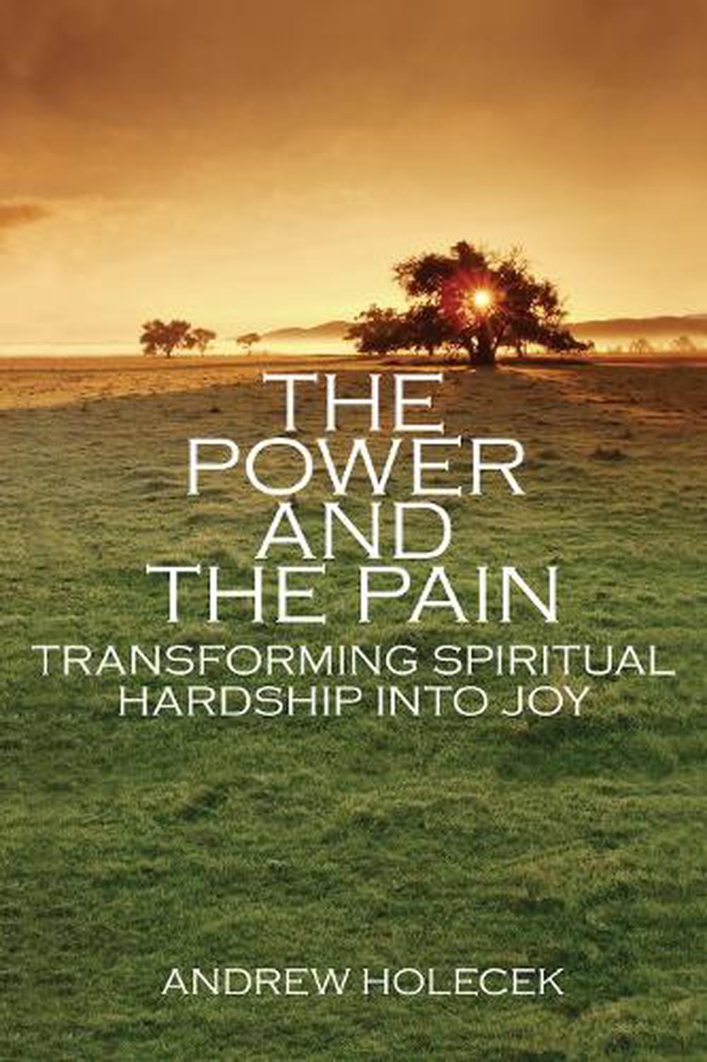 The Power and the Pain by Andrew Holecek - ISBN: 9781559393317