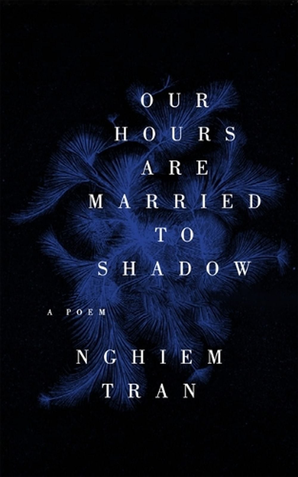 Our Hours Are Married To Shadow by Nghiem Tran - ISBN: 9781566897723