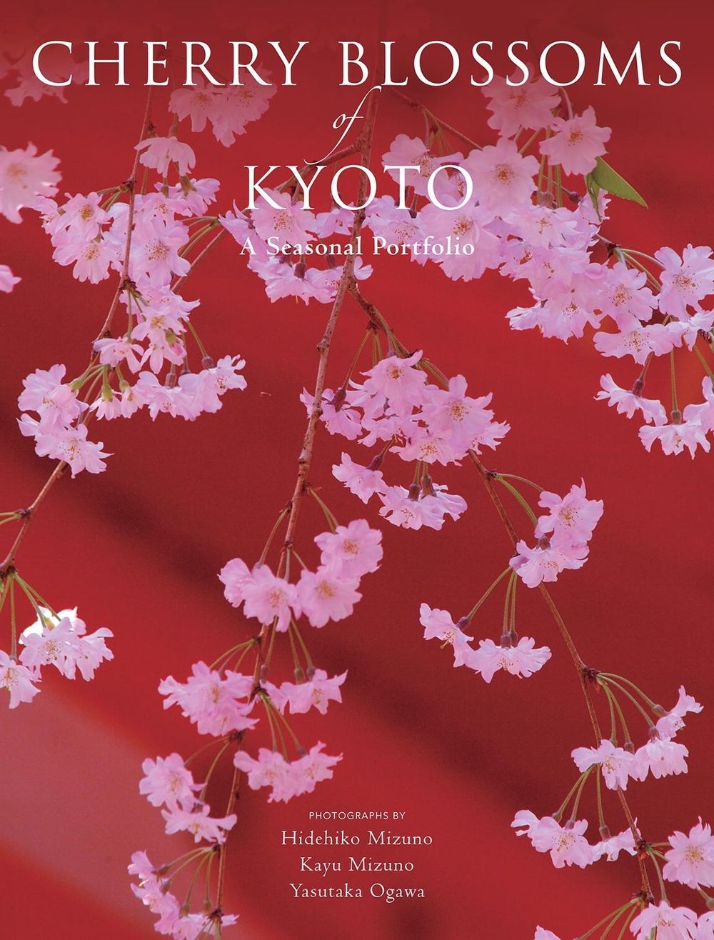 Cherry Blossoms of Kyoto by Hidehiko Mizuno - ISBN: 9781568365602
