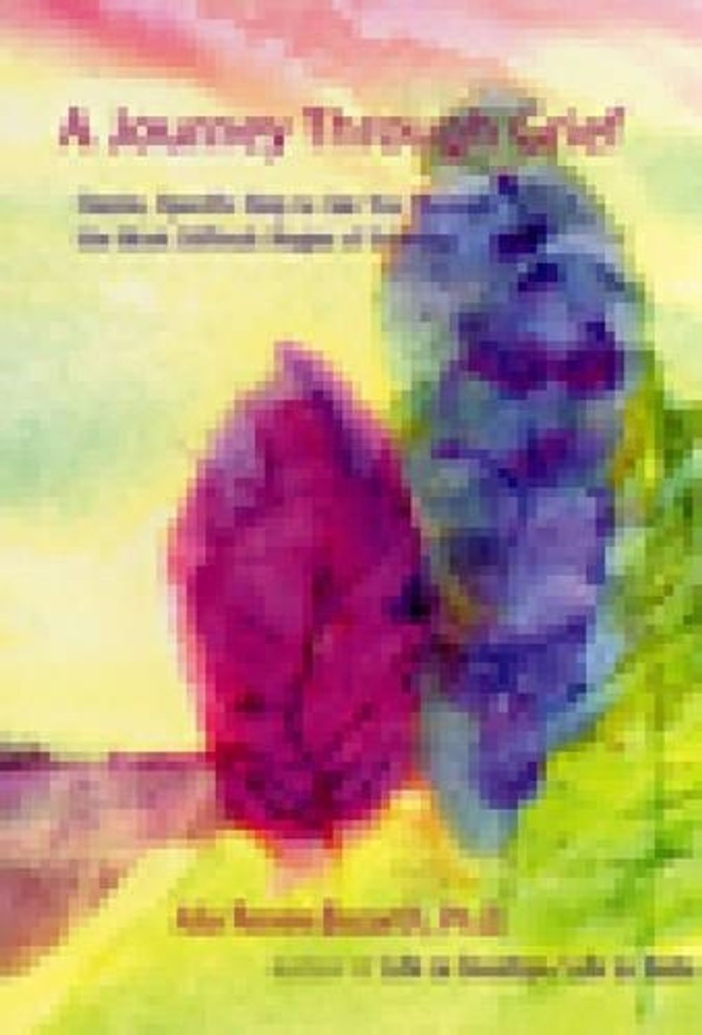 A Journey Through Grief by Alla Renee Bozarth - ISBN: 9781568380377