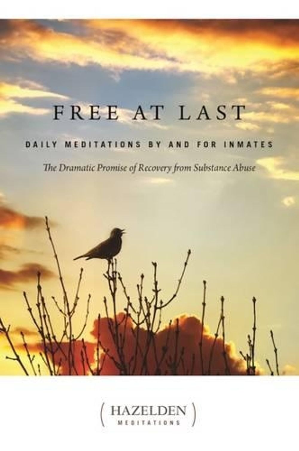 Free at Last by ANONYMOUS - ISBN: 9781568380704