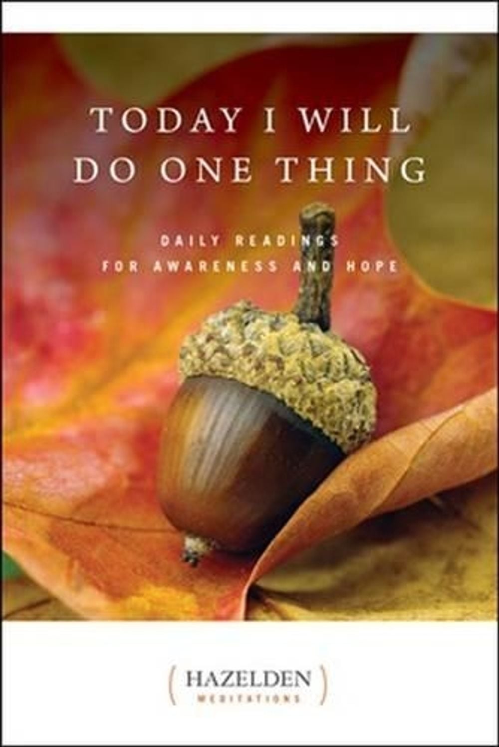 Today I Will Do One Thing by ANONYMOUS - ISBN: 9781568380834