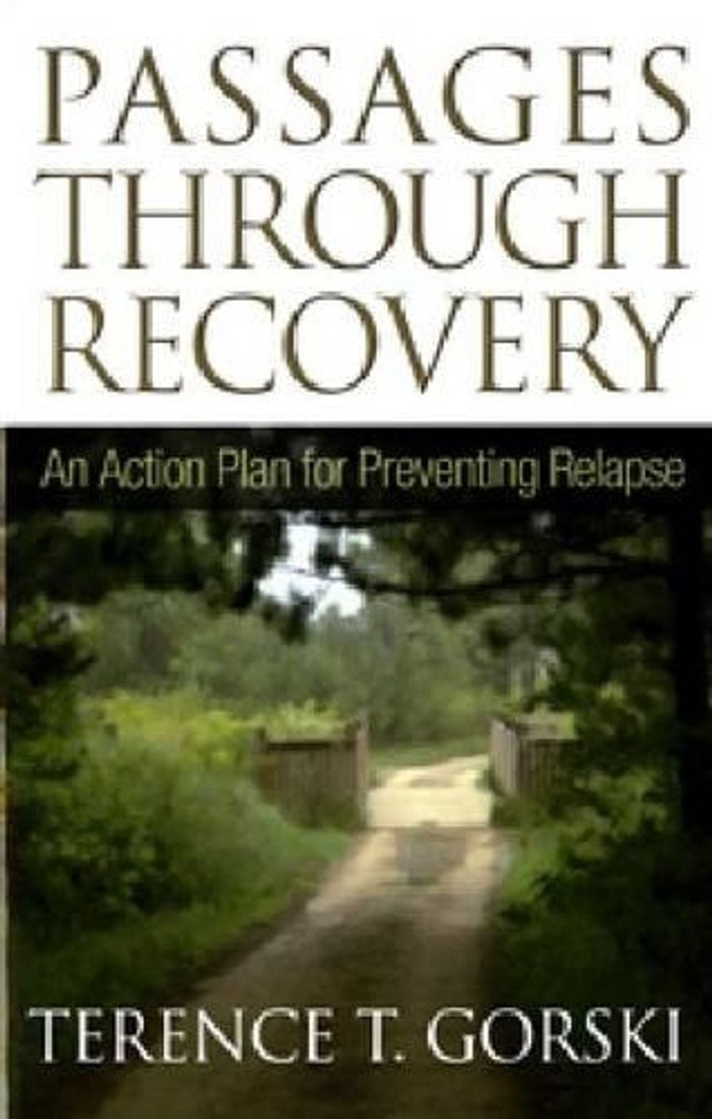 Passages Through Recovery by TERENCE T. GORSKI - ISBN: 9781568381398