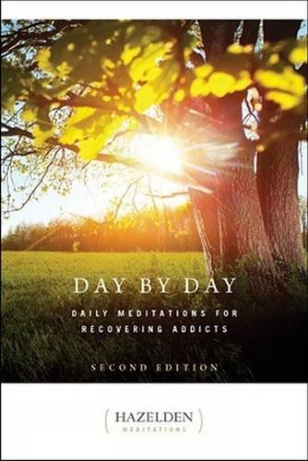Day by Day by ANONYMOUS - ISBN: 9781568382340