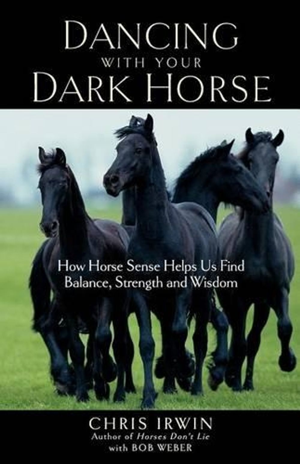 Dancing with Your Dark Horse by Chris Irwin - ISBN: 9781569243879