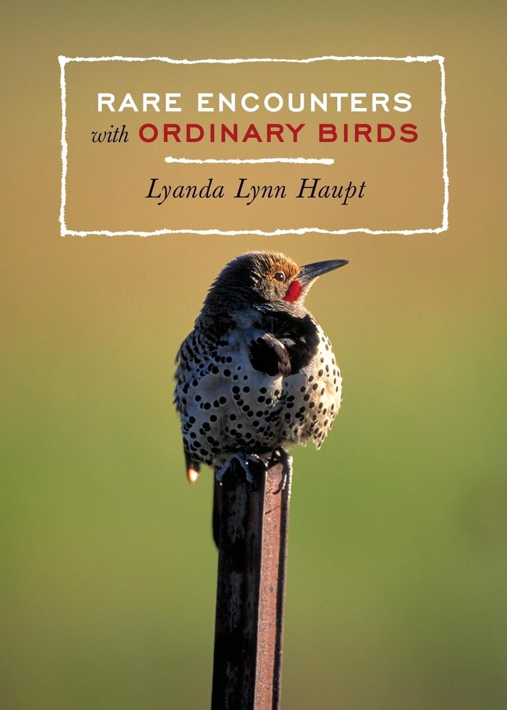 Rare Encounters with Ordinary Birds by Lyanda Lynn Haupt - ISBN: 9781570614194