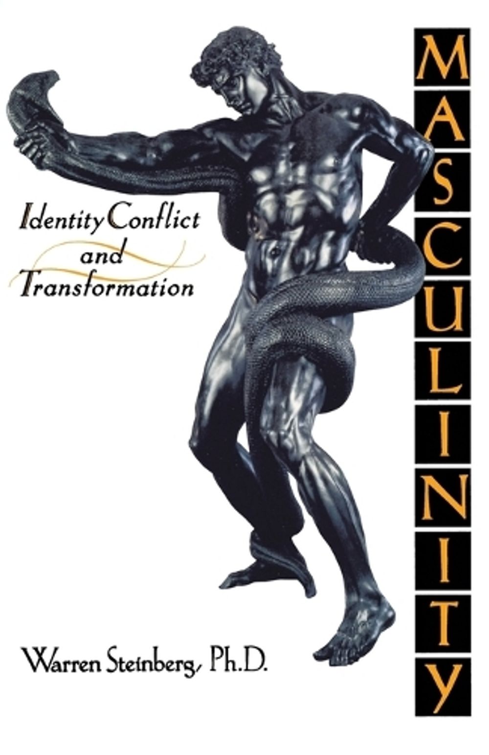 Masculinity by Warren Steinberg - ISBN: 9781570626487