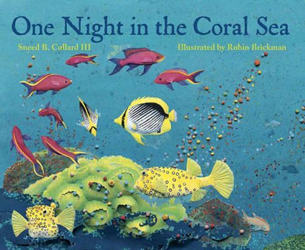 One Night in the Coral Sea by Sneed B. Collard, III - ISBN: 9781570913907