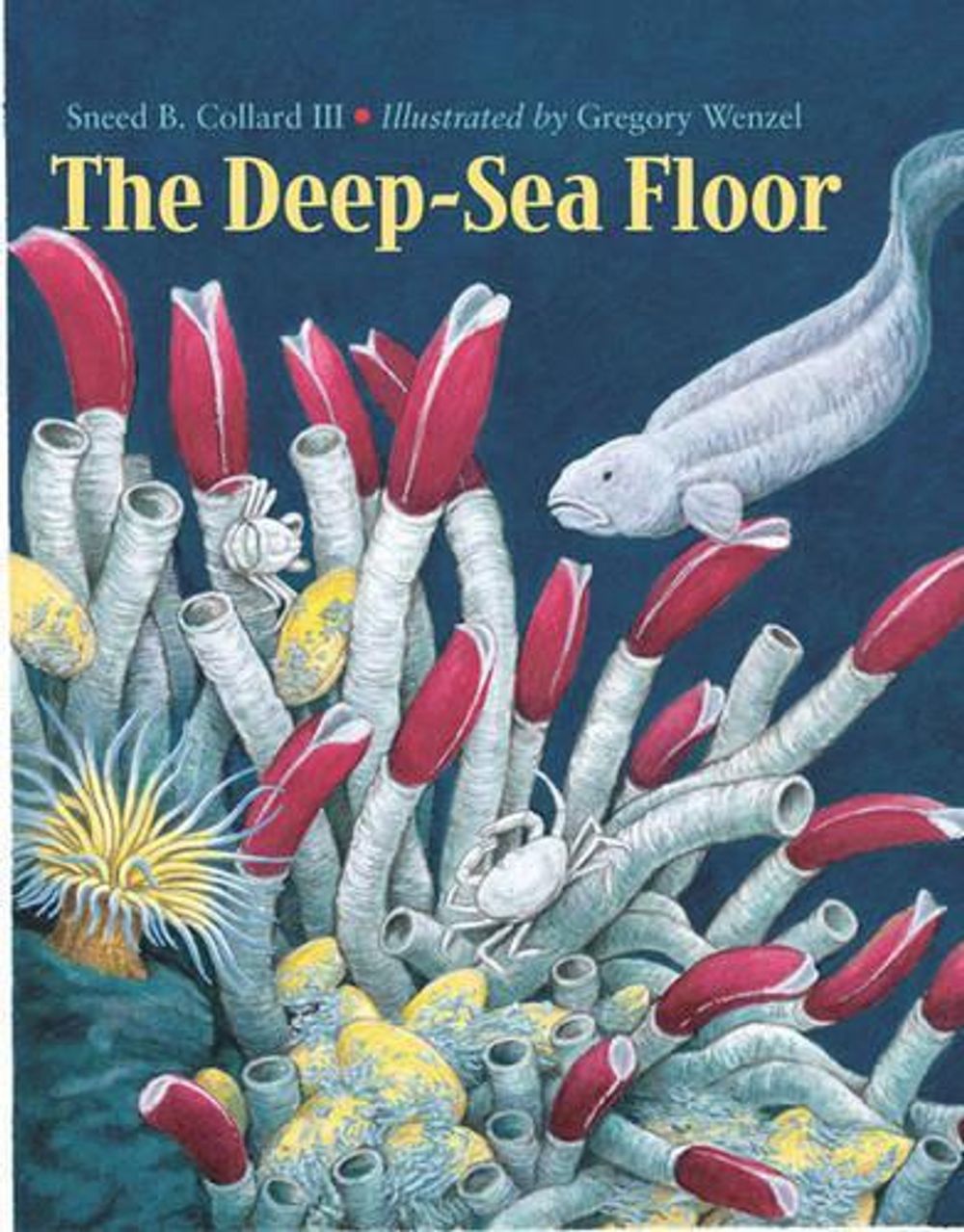 The Deep-Sea Floor by Sneed B. Collard, III - ISBN: 9781570914034