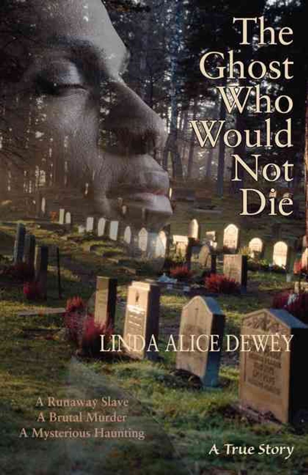 Ghost Who Would Not Die by Linda Alice Dewey - ISBN: 9781571745859