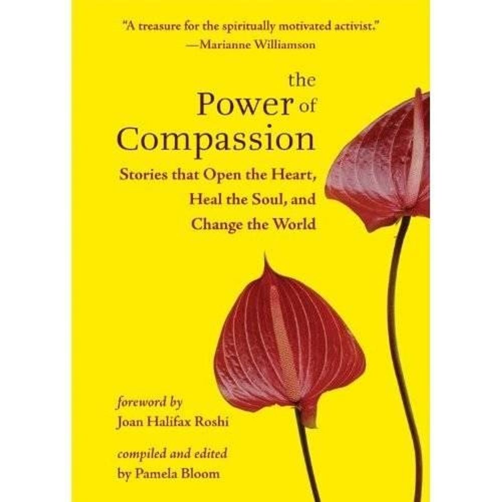 The Power of Compassion by Pamela Bloom, Paperback, 9781571746290 | Buy ...