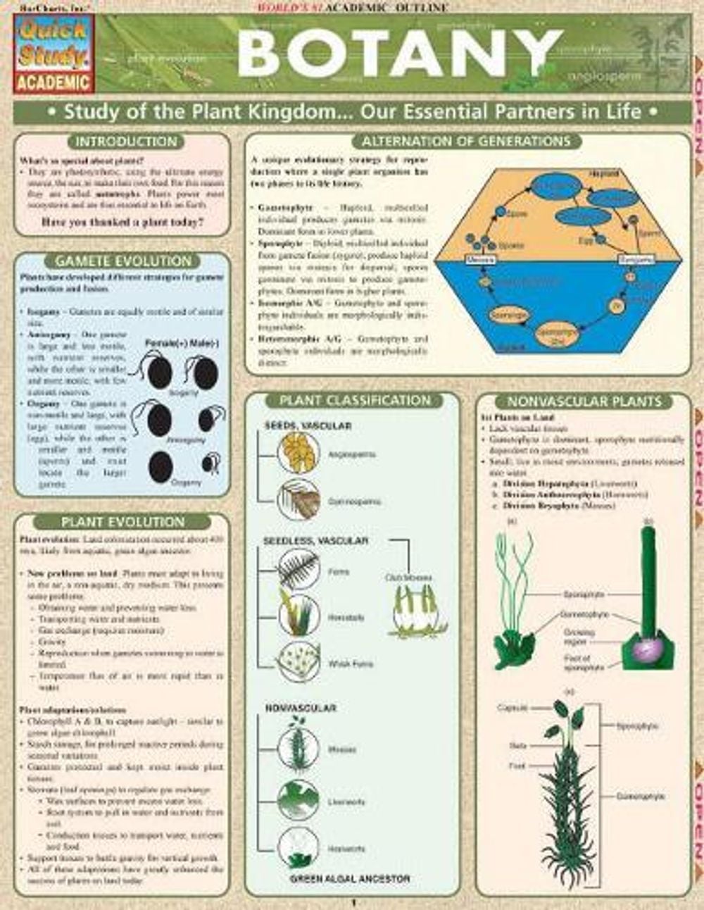 Botany by Randy Brooks - ISBN: 9781572225626