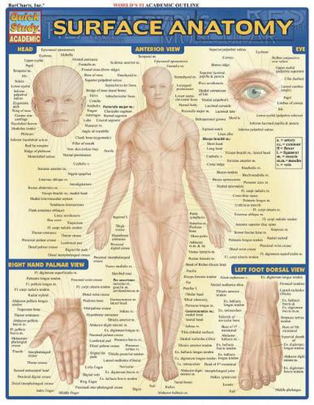 Surface Anatomy, 9781572228146