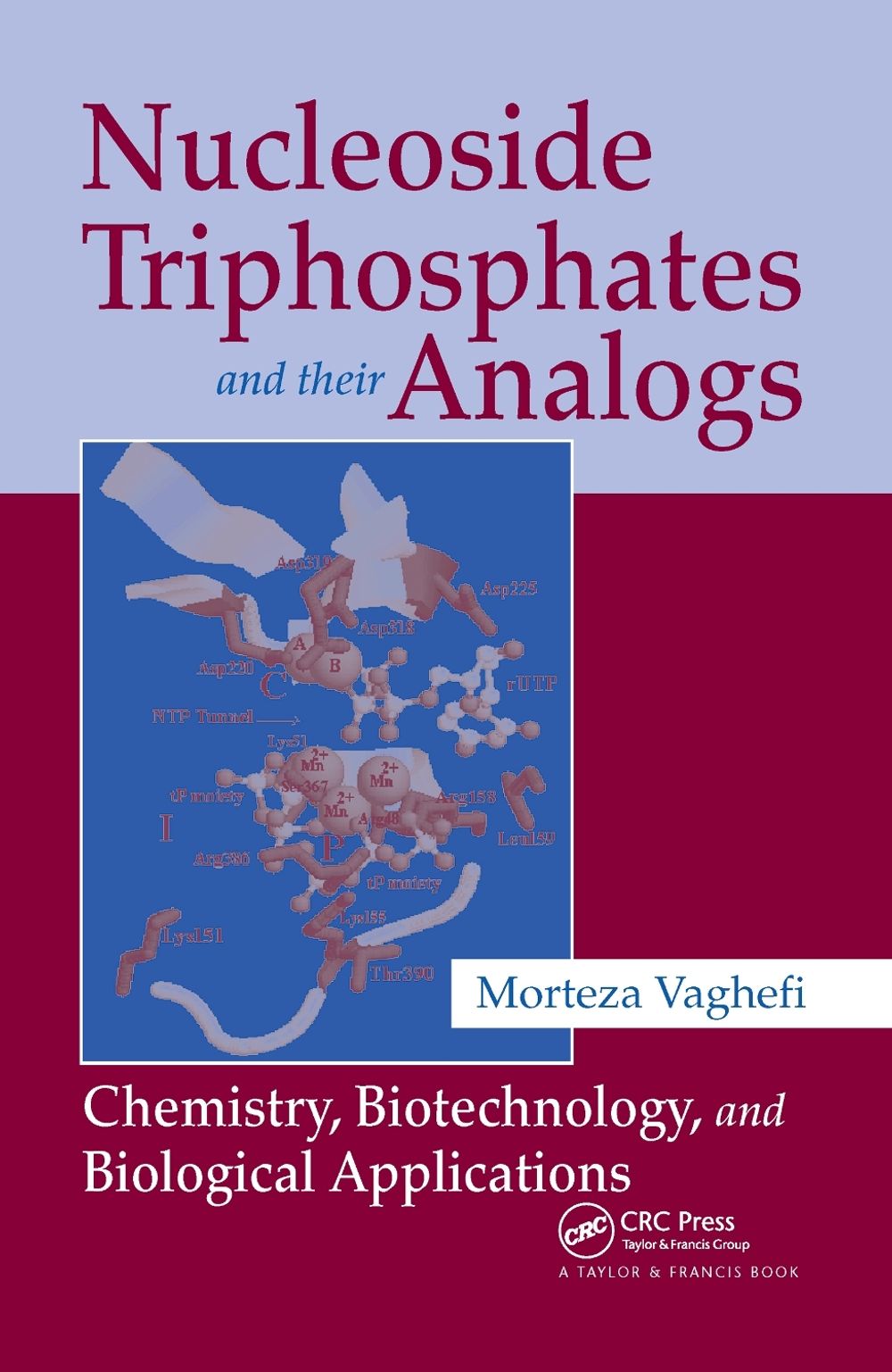 Nucleoside Triphosphates and their Analogs, 1st Edition by Morteza Vaghefi - ISBN: 9781574444988