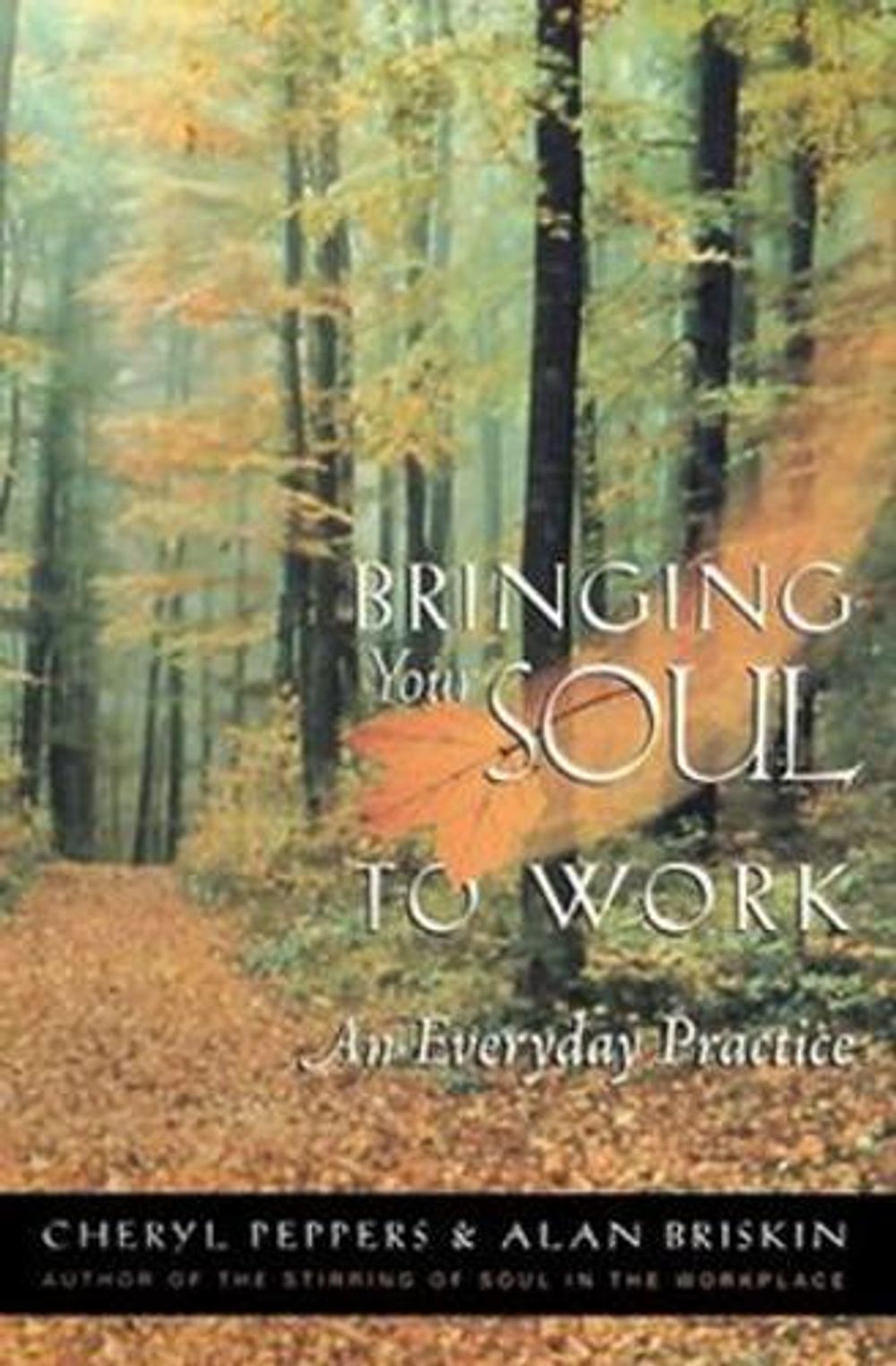 Bringing Your Soul to Work: An Everyday Practice by BRISKIN - ISBN: 9781576751114