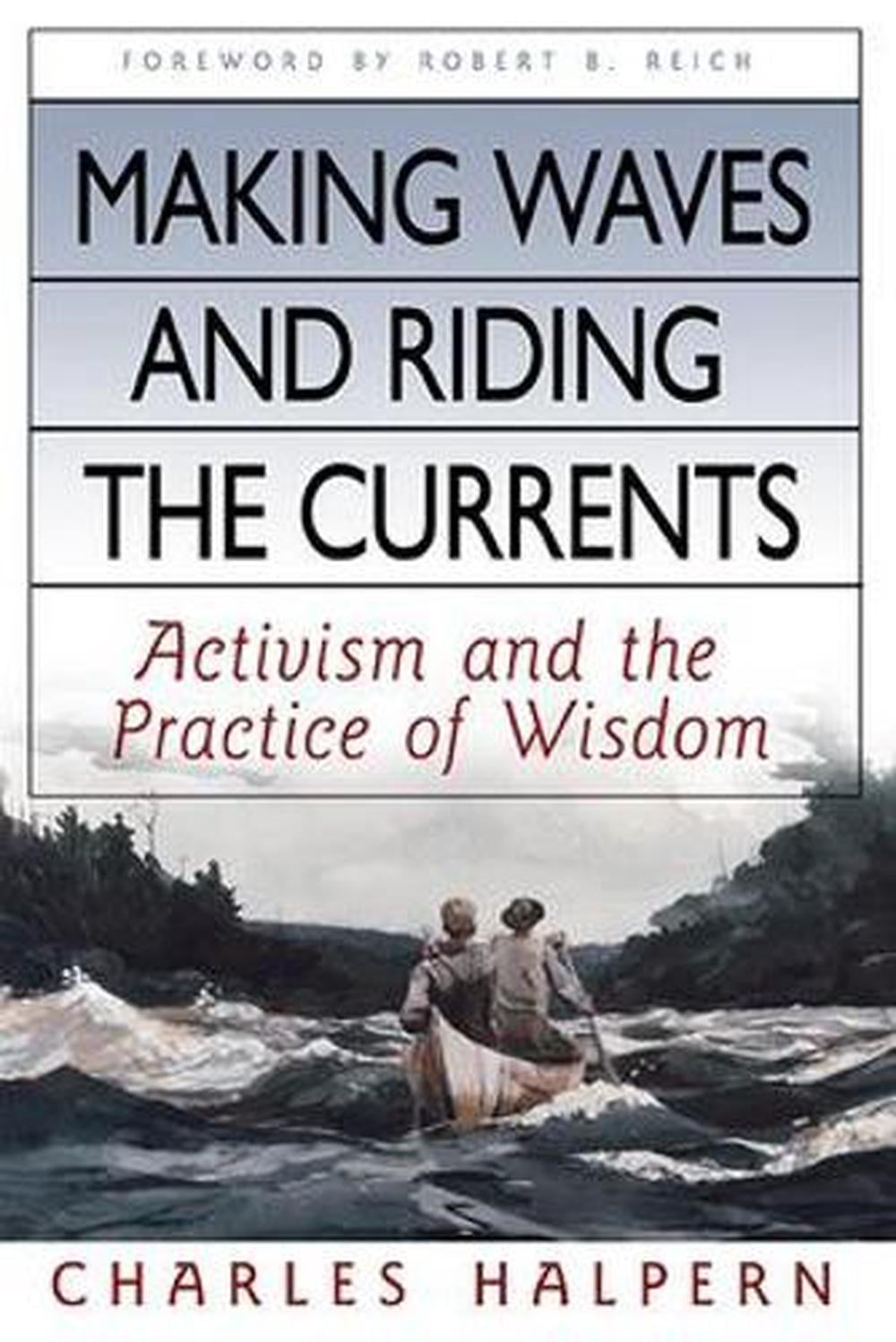 Making Waves and Riding the Currents. Activism and the Practice of Wisdom. by Charles Halpern - ISBN: 9781576754429
