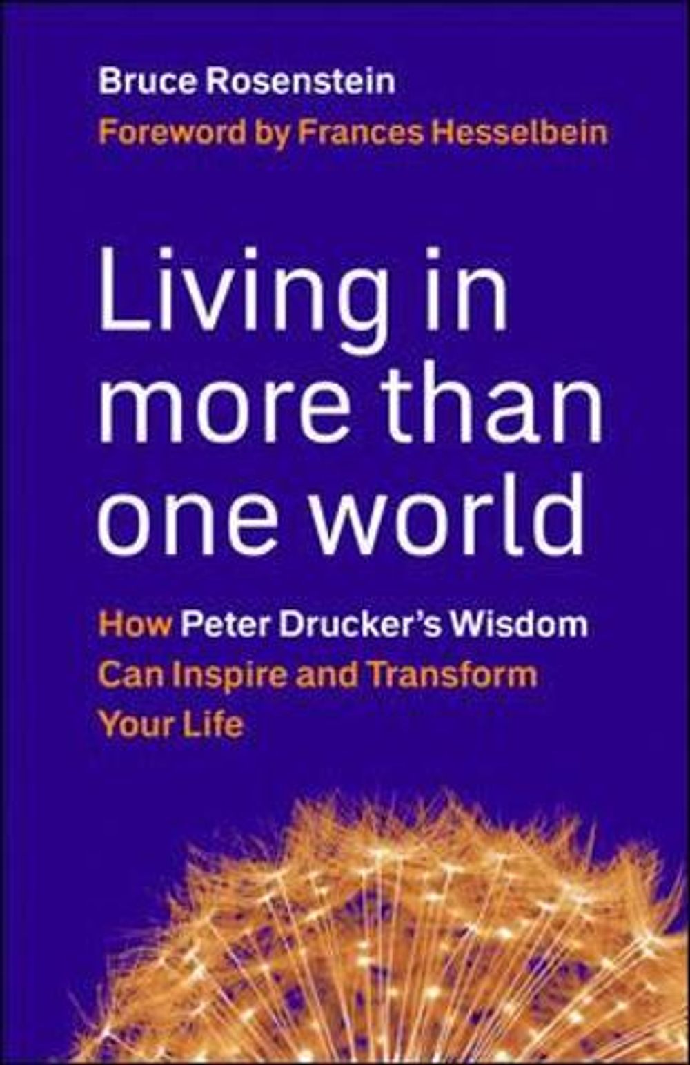 Living in More Than One World by Bruce Rosenstein - ISBN: 9781576759684