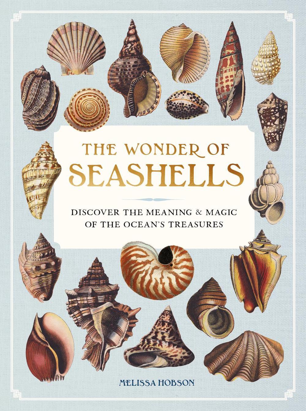 The Wonder of Seashells, 9781577155126