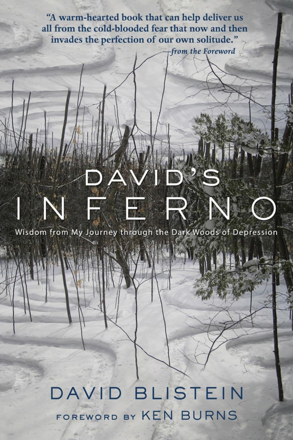 David's Inferno by David Blistein - ISBN: 9781578264292