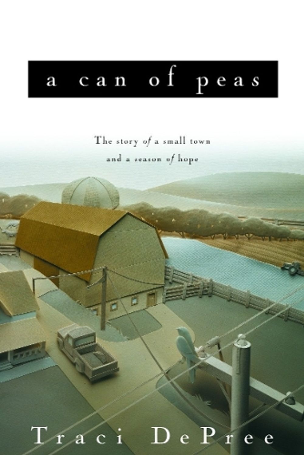 A Can of Peas by Traci Depree - ISBN: 9781578565238