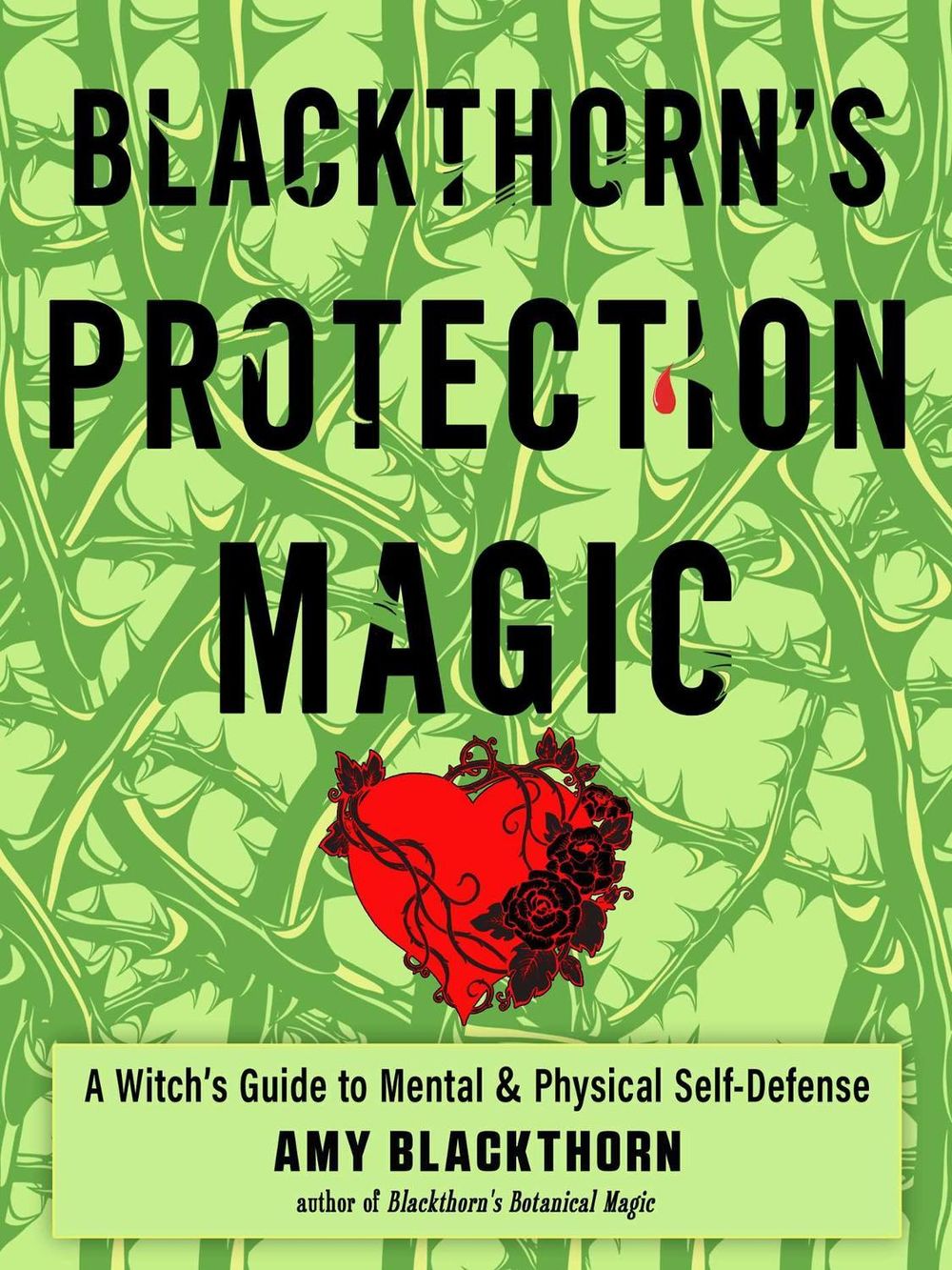 Blackthorn's Protection Magic by Amy Blackthorn - ISBN: 9781578637614
