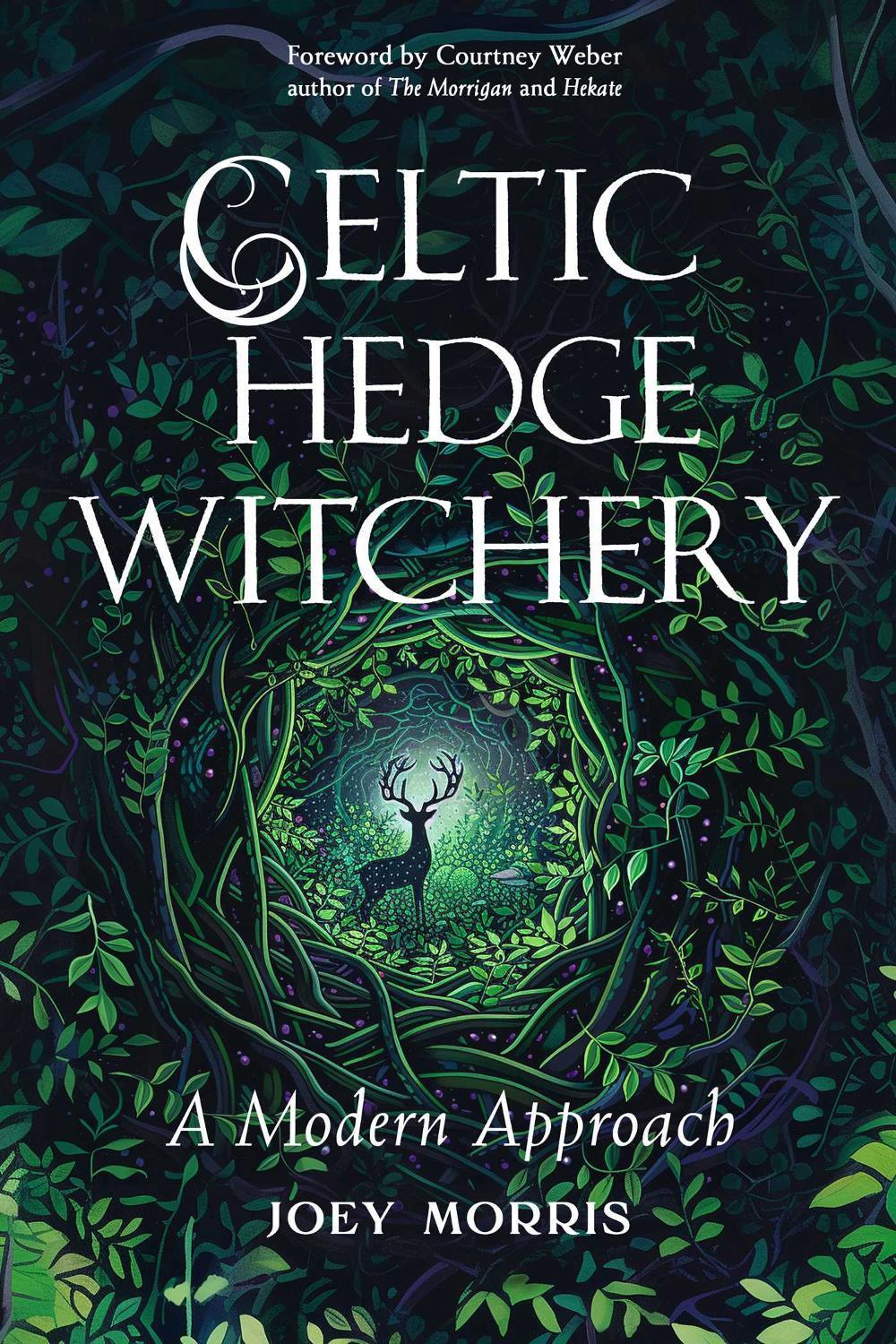 Celtic Hedge Witchery, 9781578638673