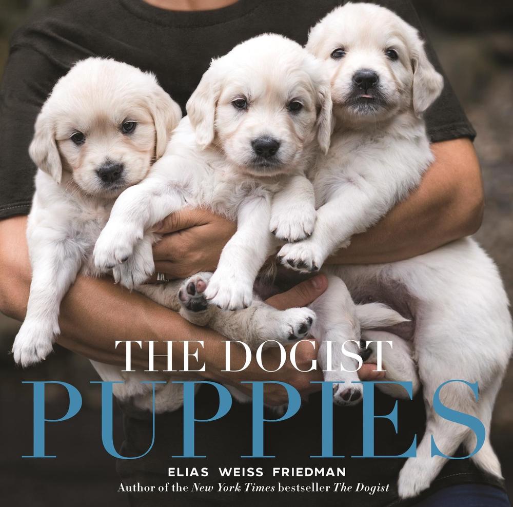 The Dogist Puppies by Elias Weiss Friedman - ISBN: 9781579657437