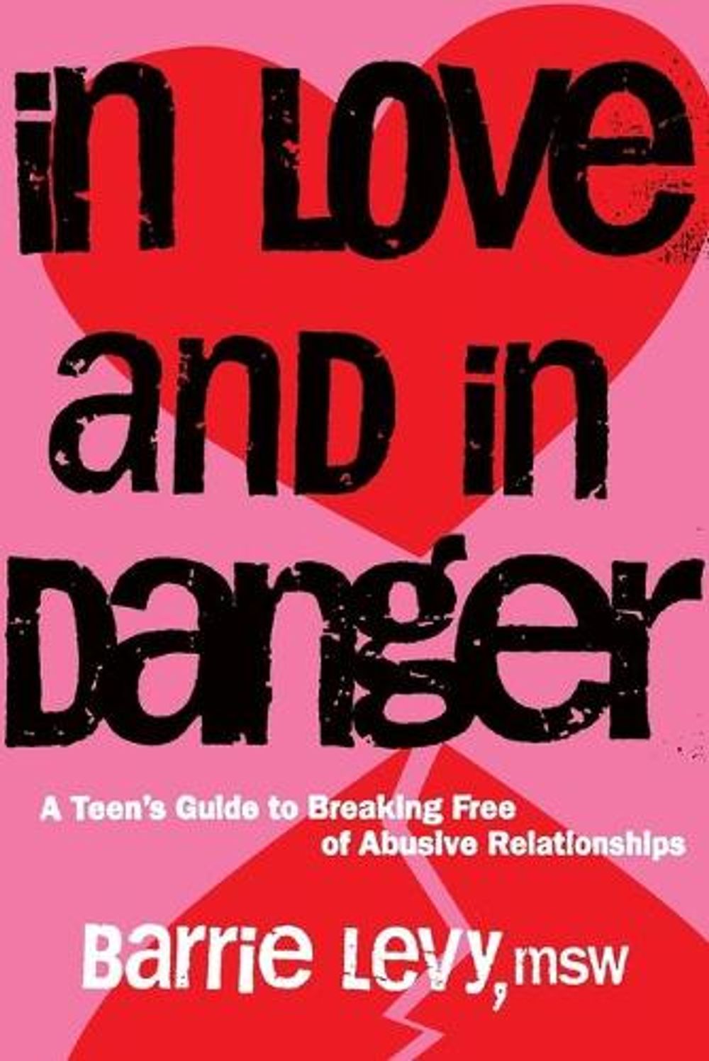 In Love and In Danger by Barrie Levy - ISBN: 9781580051873