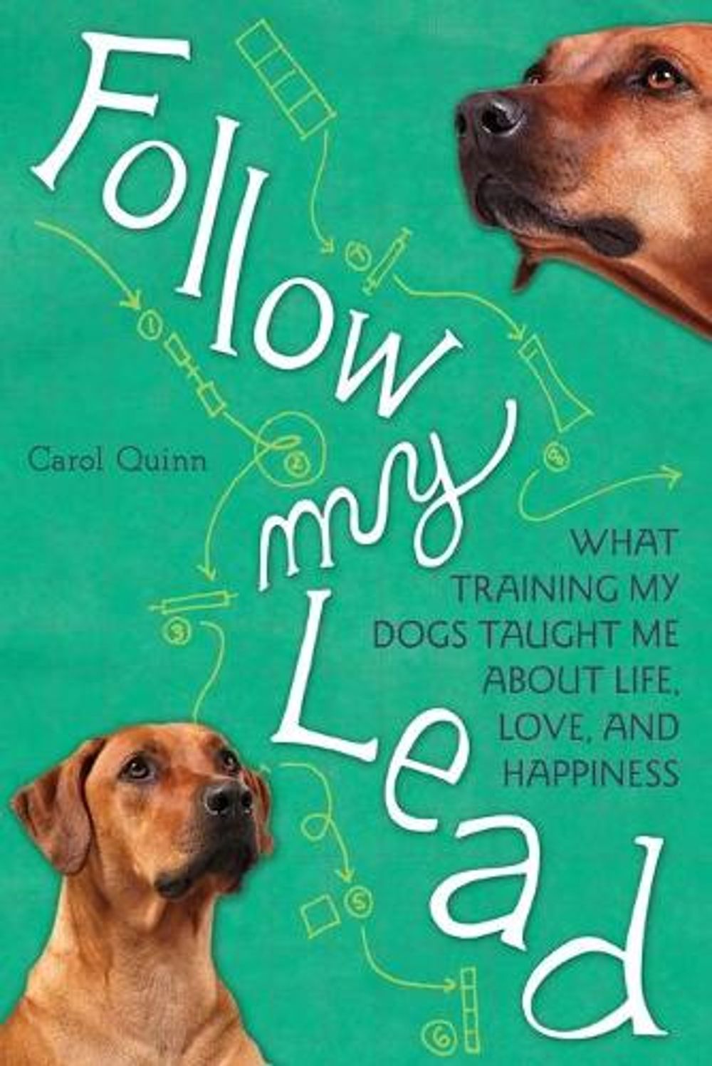 Follow My Lead by Carol Quinn - ISBN: 9781580053709
