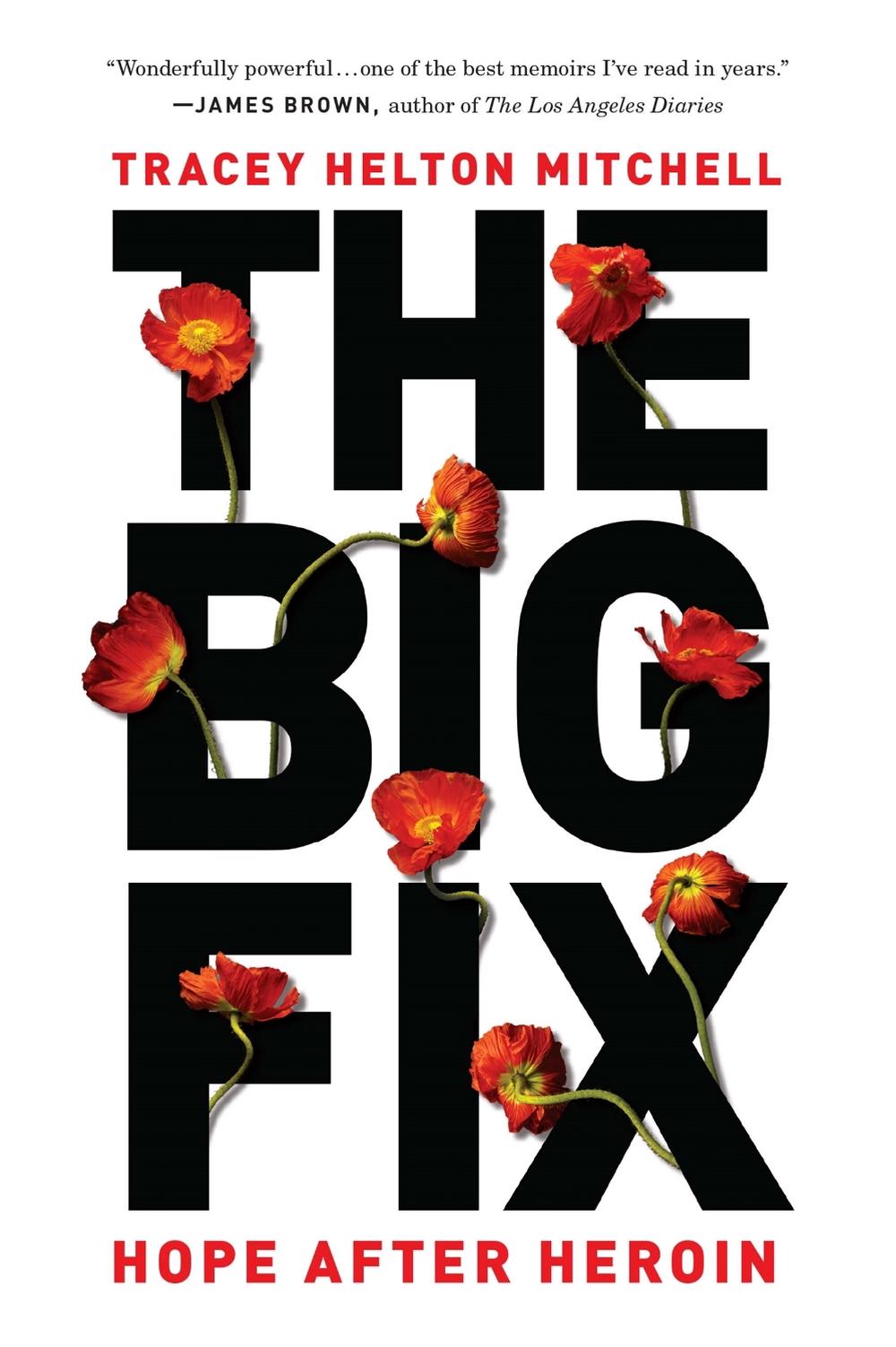 The Big Fix by Tracey Mitchell - ISBN: 9781580056632