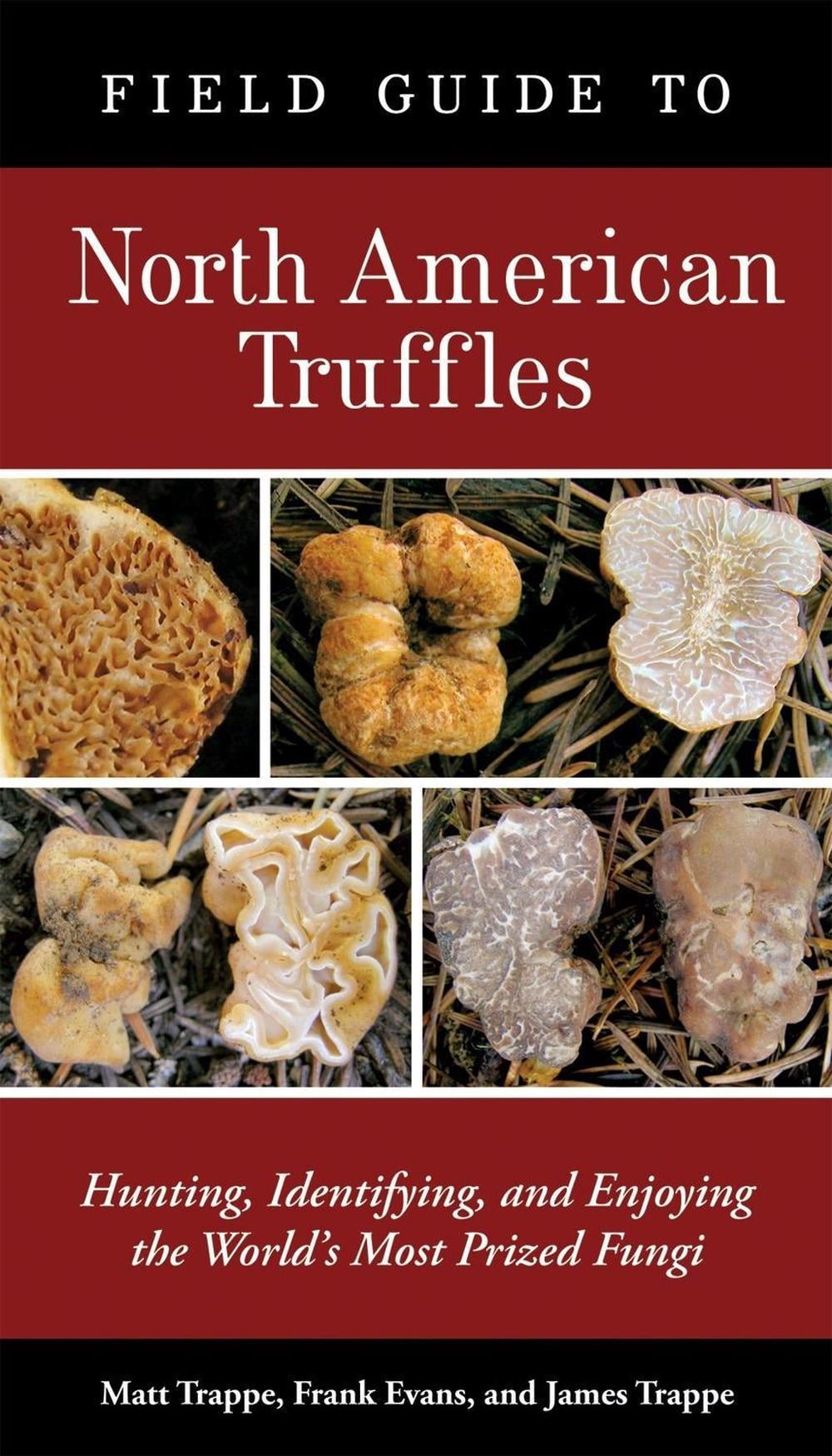 Field Guide to North American Truffles by Matt Trappe - ISBN: 9781580088626